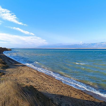Apartments David - Sabunike Near Nin Привлака Экстерьер фото